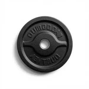 Rogue Fitness HG 2.0 Bumper Plate — Olympic Rubber Weight Plate